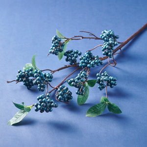 Blueberry Branch Spray